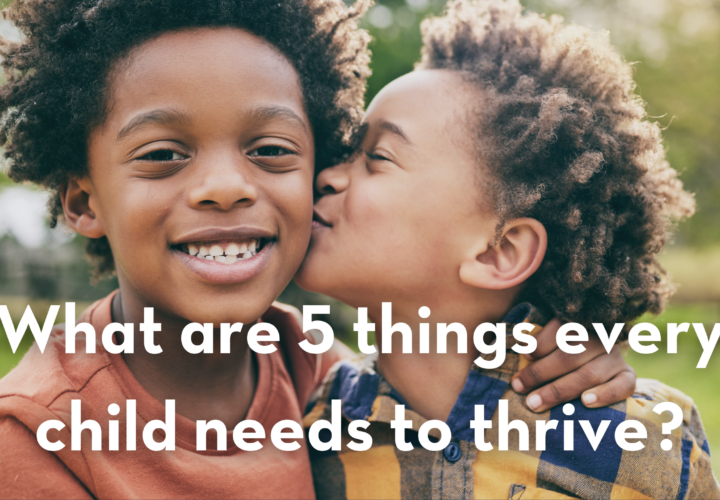 5 Well being domains blog header image