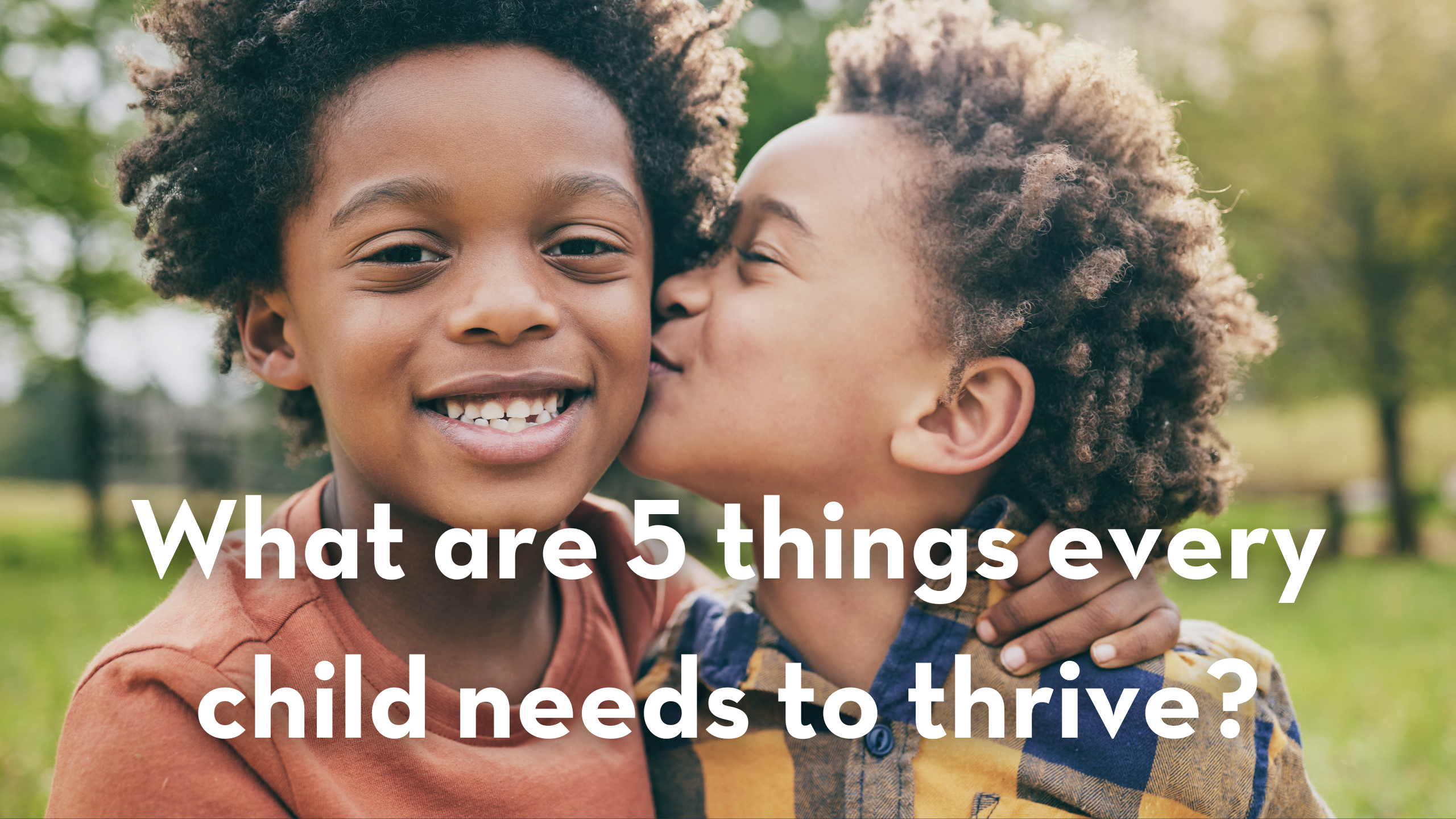 5 Well being domains blog header image